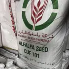 بذار برسيم ك101 القريات