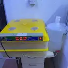 فقاسة بيض