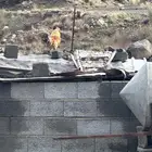 دجاج وديك للبيع