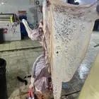 سواكن حمري تربيه ماشالله فل شحم ويتوفر طليان حريه نظيفه