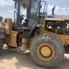 شيول SEM
