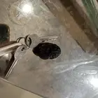 تمر عجوه فاخر حجم كبير