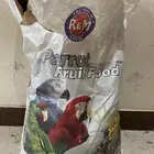 اللبيع أكل طيور دراه و كوكر.