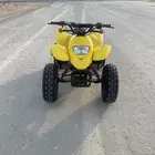 دباب تايواني