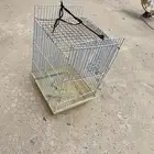 شبك البيع موقع ريحه يصلح كاسكو كنيور البيع مالى حد