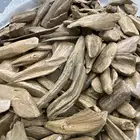 عود اصقون مروكي طبيعي فخم جدا جدا