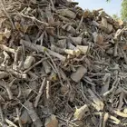 حطب زيتون مستورد