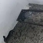 يوجد ارانب بلديه للبيع العدد 25