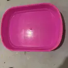 صحن مع تراب قطط جديد