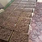 تمر خلاص الاحساء