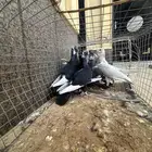 حمام شامي سوري ودجاجه بكستاني