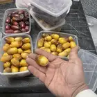 رطب على الطلب