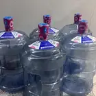 علب قوارير تانيا 12 حبه