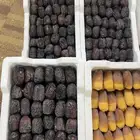 صيف مزرعة عجوى  برني العلا  برني العيص  حلوة