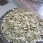 مضير غنم للبيع