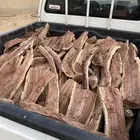 حطب يابس شلايخ طيب