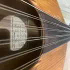 للبيع عود عراقي