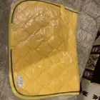 أغراض خيل جديده