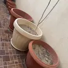 احواض زراعة