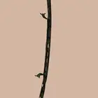 قطع غيار لاندكروزر 2007