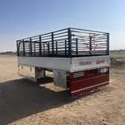 صندوق دينه ايسوزو 2008