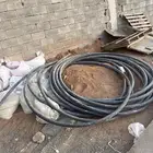 لي اسود ثنين بوصه