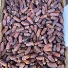تمر برني العلا مبروم حبة طيبة