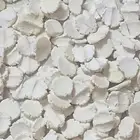 مضير
