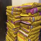 دراي فود اكل كلاب