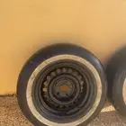 جنوط بكفراتها