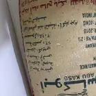 رز أبو كاس عام2018