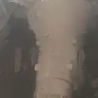 كير بي ام دبليو x5 2009