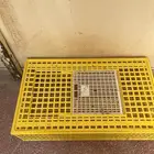 شبك اصفر دجاج او حمام