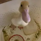 بطه