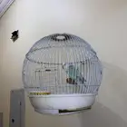 روز نضيف سليم للبيع