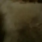 حساب جيني للبيع