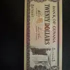 عملت دولة غيانا