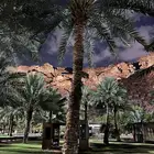 ابي جيب ربع إيجار