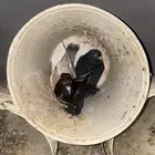 حمام تركي