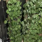 ديكور حائط نباتات قابله للطي