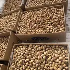 تمر بديرة بيضاء