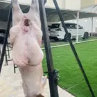 معلم مشويات