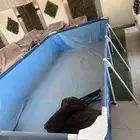 مسبح