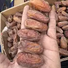 تمر صفري بيشه