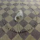 شبكه صيد طيور
