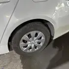 جنوط وطيس كورلا