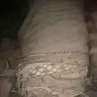 بيت شعرللبيع وعقود لمبات وتجهيزات مخيم ودورة مياه ومرابيع