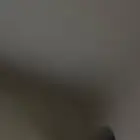 مطلوب شقه غرفتين ومجلس