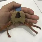 برق باشق