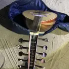 عودي مصري اخو الجديد